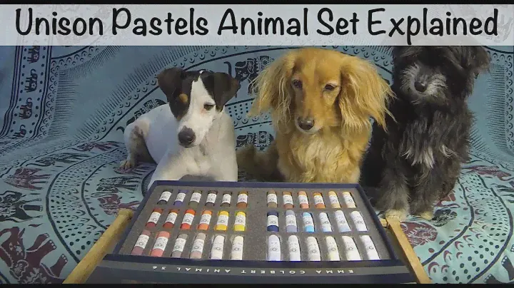 Unison Pastels Animal Set Explained